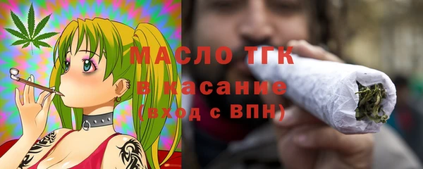 ECSTASY Богородицк