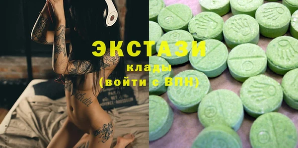 ECSTASY Богородицк